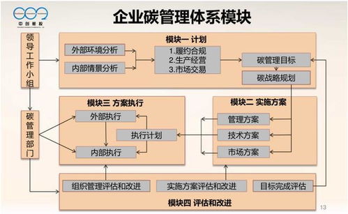 大型控排企业碳资产管理体系pdf